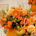 ���� Ya, ������ - ��������� 9 ������� 2015 � ������ ���� ����������