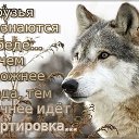 ���� �������, �������� - ��������� 16 ������� 2015 � ������ ������ ��������