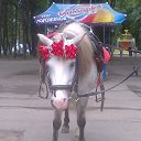 ���� Vasilij, �����, 64 ���� - ��������� 30 �������� 2015 � ������ ���� ����������