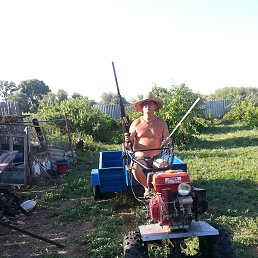 ���� ��������, ��������, 78 ��� - ��������� 8 ����� 2016