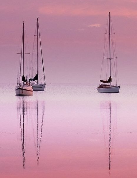 , ,  - 20  2015  03:45 - 4