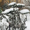 ���� �����, ��������, 51 ��� - ��������� 30 ������ 2016 � ������ �����