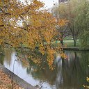 ���� �������, ����� - ��������� 28 ������� 2015 � ������ ���� ����������