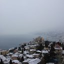  , , 60  -  29  2016     ,23.01.16.