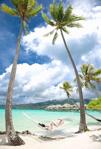 ����������� ��������� - 3