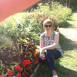 �����, ��������, 56 ���