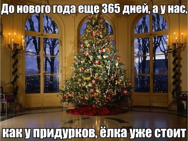 ����������� (18+) - 1 ������ 2016 � 17:10