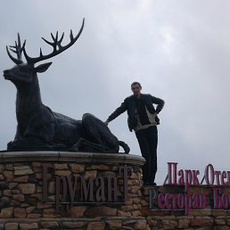 ���� ��������, ���������� - ��������� 2 ����� 2016