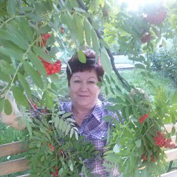 ���������, ������, 67 ���