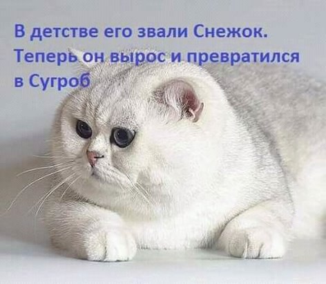 ***Victoria Viktorovna*** - 7  2016  08:46