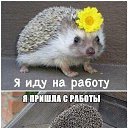 ���� ������, �����-���������, 45 ��� - ��������� 3 ������ 2015 � ������ ������ ��������