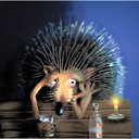 ���� ����, ������, 46 ��� - ��������� 27 ������� 2015 � ������ ������ ��������