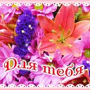 ���� �����, ������� - ��������� 15 ������� 2016 � ������ �������� ��������