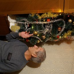 ���� ����, �������, 72 ���� - ��������� 31 ������� 2015