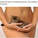 ���� ����, �����, 38 ��� - ��������� 26 �������� 2015 � ������ �������