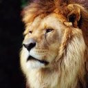 ���� �����, ������, 40 ��� - ��������� 22 ������� 2016 � ������ ���� ����������