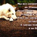 ���� �������, �������, 64 ���� - ��������� 6 ������ 2016 � ������ ������ ��������