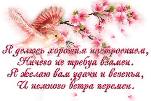 ~Dasha~ - 23  2015  07:07