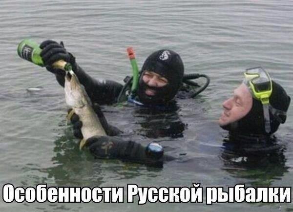     ,   : <a href=