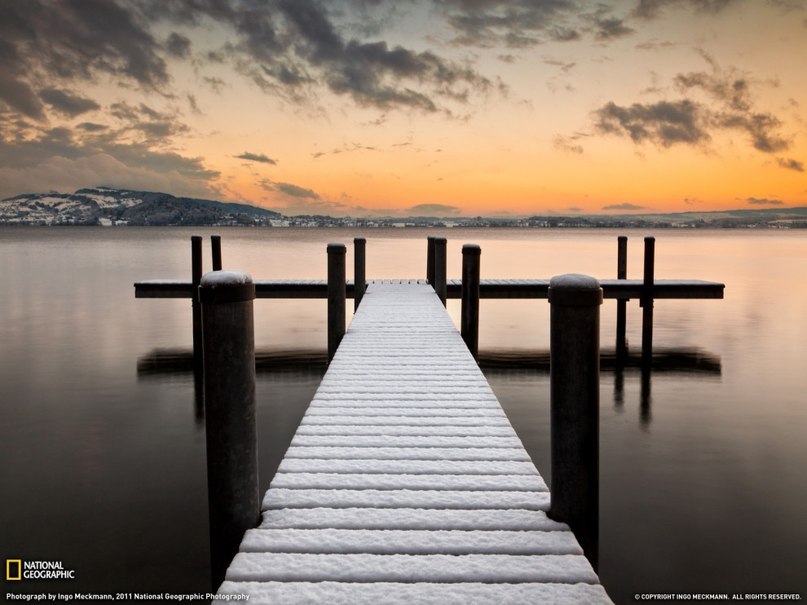   National Geographic   2011  - 6