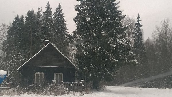 Продаётся хуторок в красивом живописном местечке, д. Дурково, Печорского р-на, Псковской обл. ... - 2