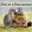 ���� ������;-), ��������, 49 ��� - ��������� 28 ������� 2015 � ������ �������� ��������