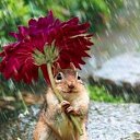 ���� �����, ������-��-����, 67 ��� - ��������� 12 ������ 2015 � ������ ������ ��������