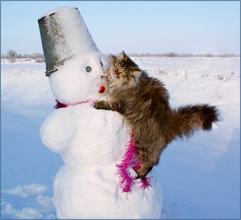      ! - 2