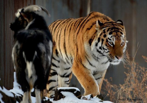 ������������� ��������� ����� � ����� ��������� � ������ �������, ����� ���� ��� �������� �� ���� ... - 5