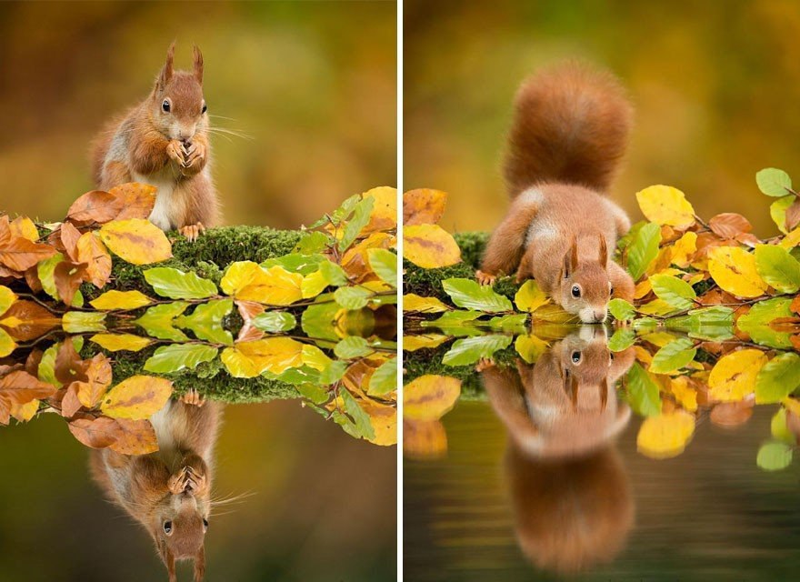    .#animal@travel.blog - 4