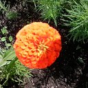 ���� �����, ������ - ��������� 1 ����� 2016 � ������ ���� ����������