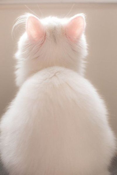       - 26  2015  21:32 - 6