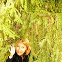 ���� ������, �����, 52 ���� - ��������� 10 ������� 2015 � ������ �������