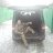 ���� Alex, ������ - ��������� 9 ������� 2016