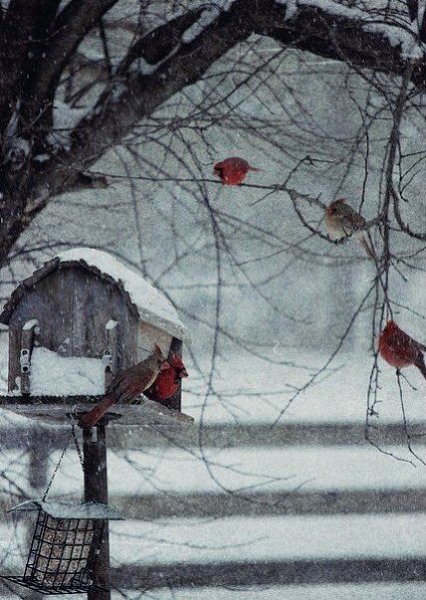 Главное — верить. Если веришь, то всё обязательно будет хорошо — даже лучше, чем ты сам можешь ...