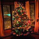 ���� �����, ���� - ��������� 21 ������� 2015 � ������ ���� ����������