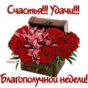 ���� Lena, �����-��������� - ��������� 1 ����� 2016 � ������ ������ ��������