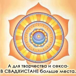  | Yoga - 13  2016  18:06 - 2