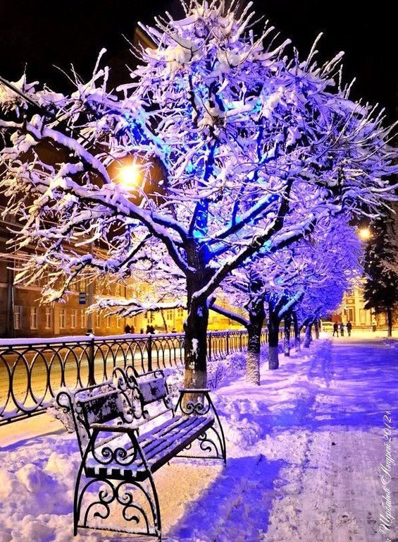 ����� ��� ���� ����� ����� ������� , ����� ������ , ����� ���������� - 5