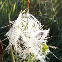 ���� ������, ��������, 55 ��� - ��������� 28 �������� 2015 � ������ ���� ����������