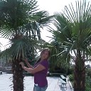 ���� ����, �������, 24 ���� - ��������� 3 ������ 2016 � ������ ���� ����������