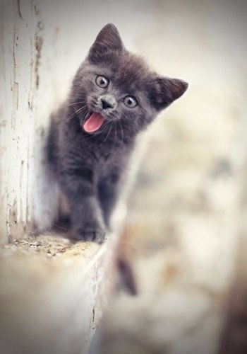 ��� ���� � ����� �� �� - 5 ������ 2016 � 11:32