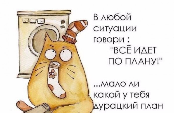 ��� | ����������, ������������ - 11 ������ 2016 � 09:30