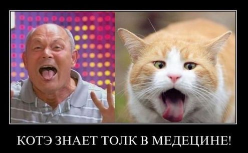 ������������ - 25 ������� 2015 � 16:39