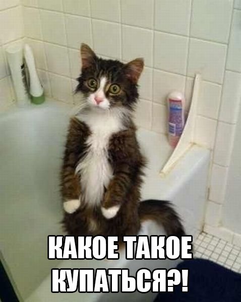 ��� ���� � ����� �� �� - 5 ������� 2015 � 07:05