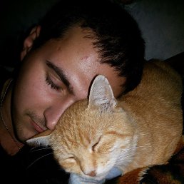 ���� ����, ��������������, 32 ���� - ��������� 14 ������� 2016