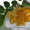 ���� Wladimir, �������, 67 ��� - ��������� 12 ������� 2016 � ������ ������ ��������