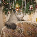 ���� ������. �� �����., ���� - ��������� 5 ������ 2016 � ������ ������ ��������