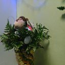 ���� ����, ������, 41 ��� - ��������� 25 ������ 2016 � ������ ���� ����������