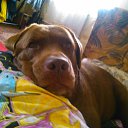 ���� ������, ������������ - ��������� 18 ������� 2015 � ������ ���� ����������